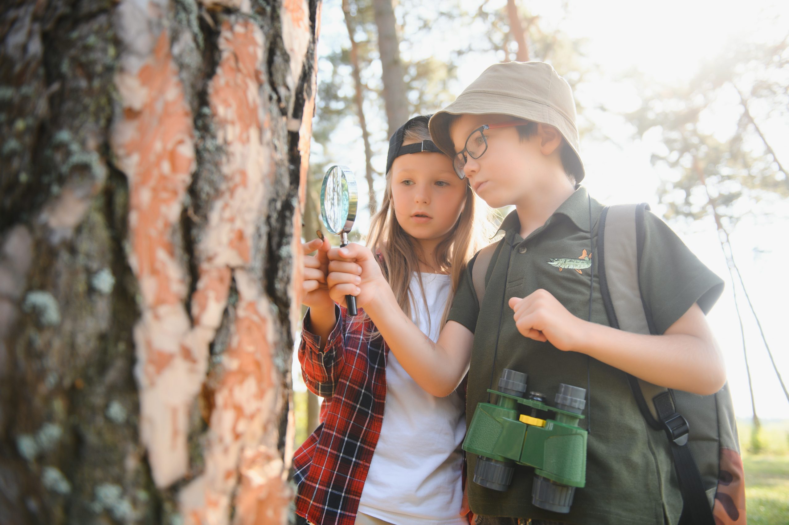 Kids exploring nature with magnifying glass. Summer activity for inquisitive child