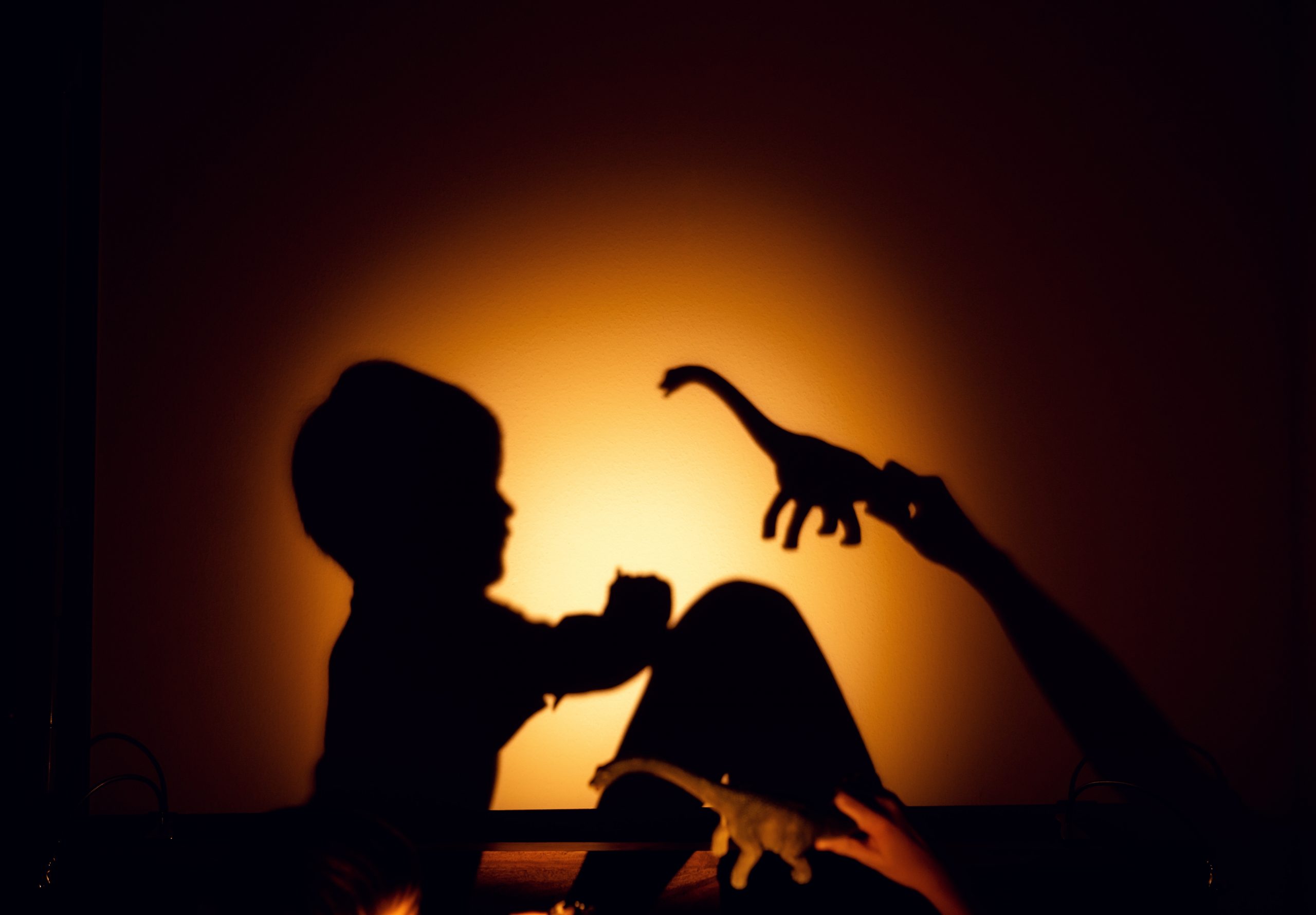 children-playing-shadow-theatre-game-at-home-at-ni-2023-11-27-05-25-23-utc