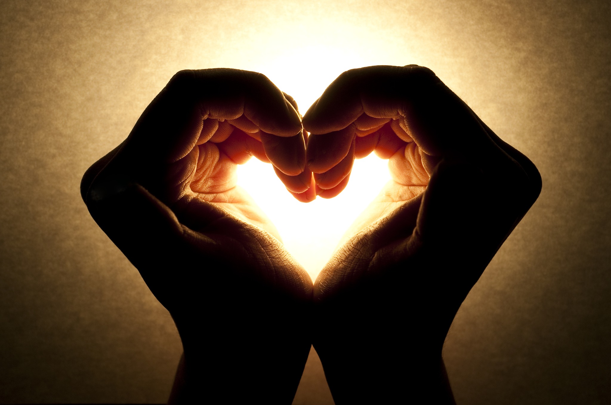 601437212_892079373482547_6747363427111742199_n